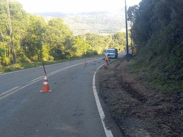 PARANÁ: DER/PR publica edital do novo programa de conservação de faixa de domínio de rodovias