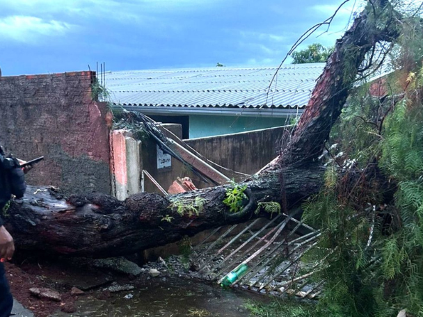 Defesa Civil atende ocorrências após temporal em Apucarana