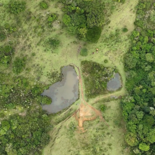 PARANÁ: Paraná tem projeto de proteção de microbacias no campo para garantir segurança hídrica