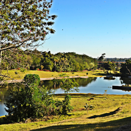 PARANÁ: Jardim Botânico de Londrina será revitalizado pelo Governo do Estado