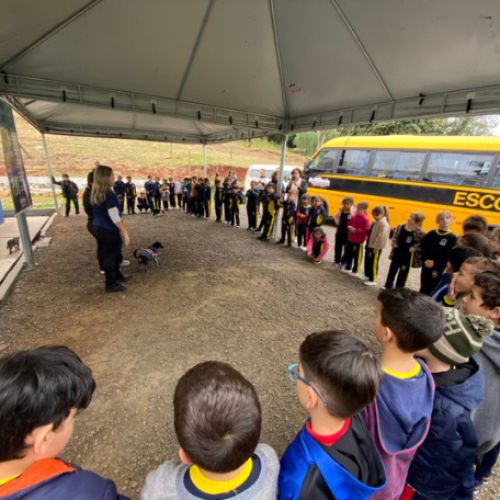 APUCARANA: CEMSA recebe visita de estudantes da rede municipal de Apucarana