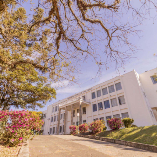 PARANÁ: Universidade Estadual de Ponta Grossa aprova novos cursos de Psicologia e Arquitetura