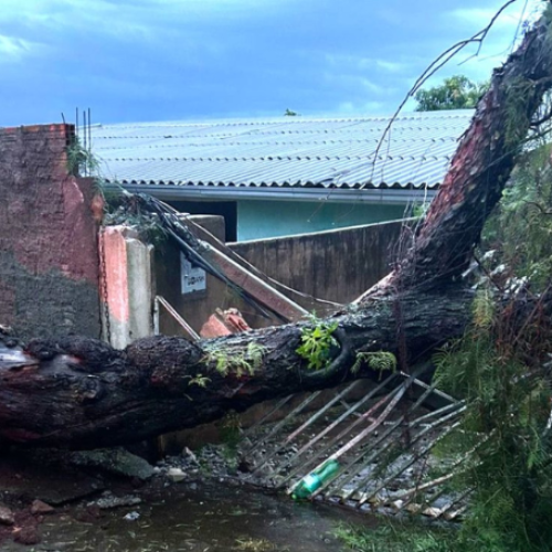 Defesa Civil atende ocorrências após temporal em Apucarana