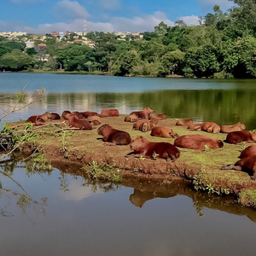 Apucarana é top 3 no Paraná e referência em sustentabilidade